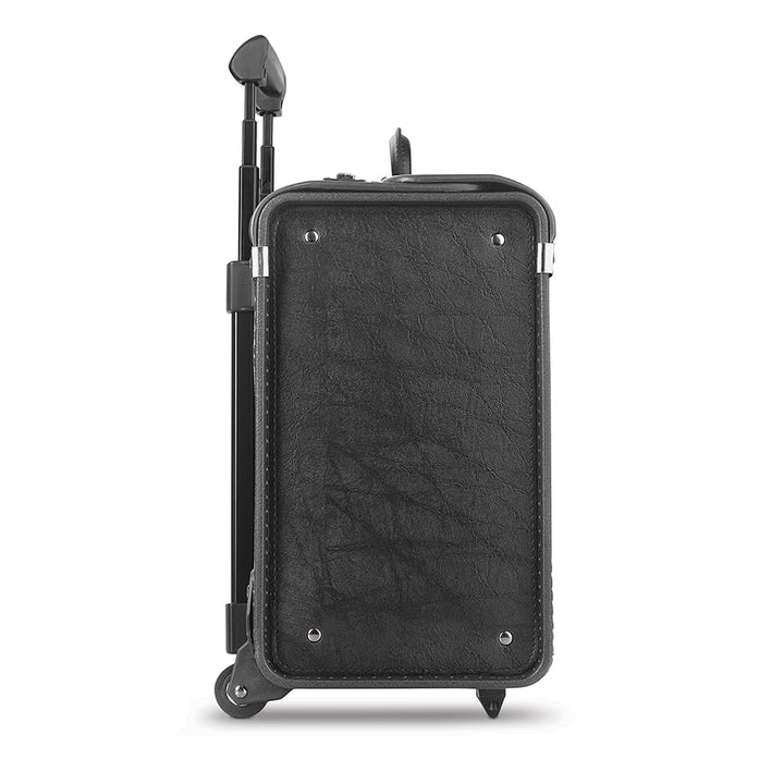 Lincoln Catalog Case