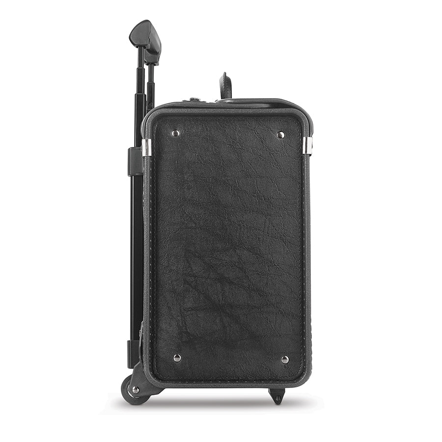 Lincoln Catalog Case